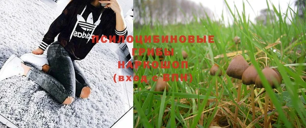 таблы Осинники