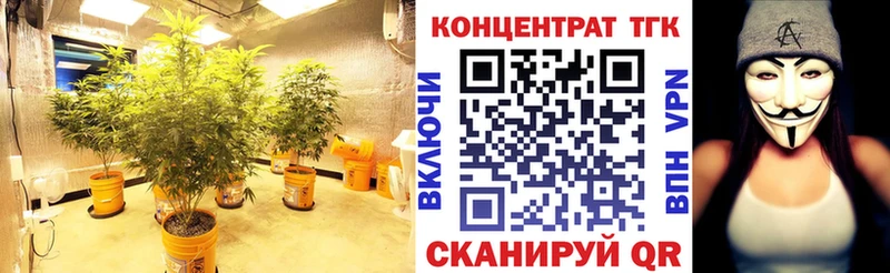 ссылка на мегу маркетплейс  Тосно  ТГК гашишное масло 