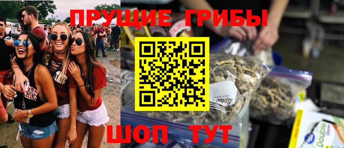 Тосно  Галлюциногенные грибы мухоморы  Вход с VPN 